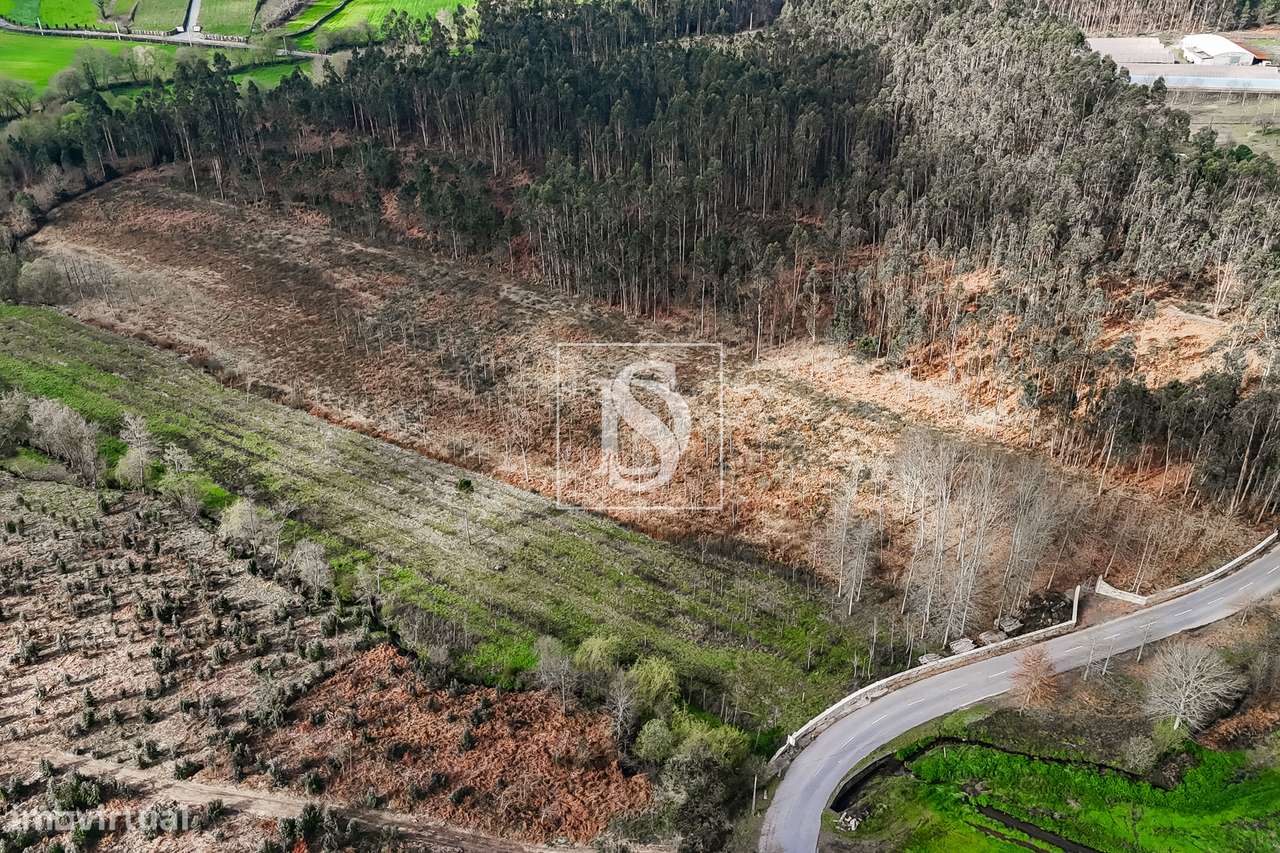 Terreno Rústico  Venda em Associação de freguesias do Vale do Neiva,Po-9