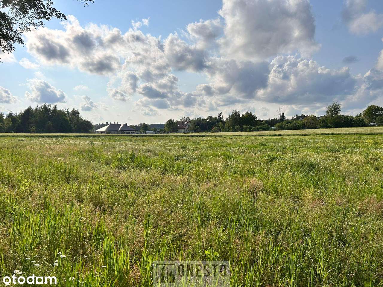 Działka budowlana 4 szt  Nasutów/Nowy Staw gm Niemce - Pełny obrazek: 5/10