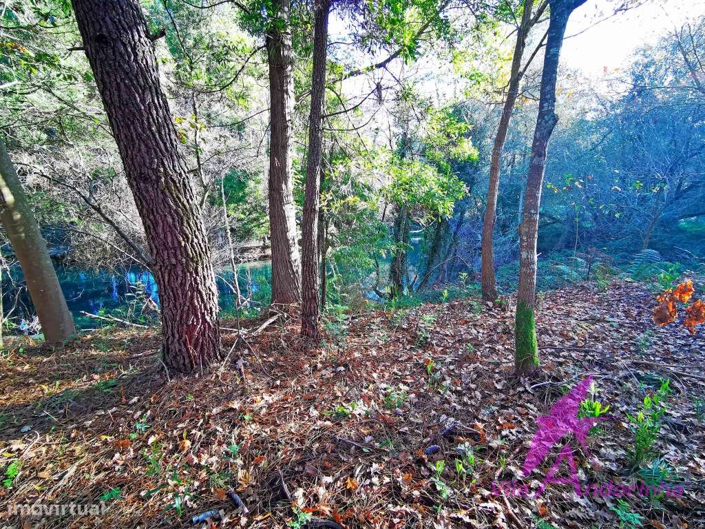 Terreno com 7740 m2 em Freixieiro de Soutelo, ao lado do rio Âncora... - Grande imagem: 3/42