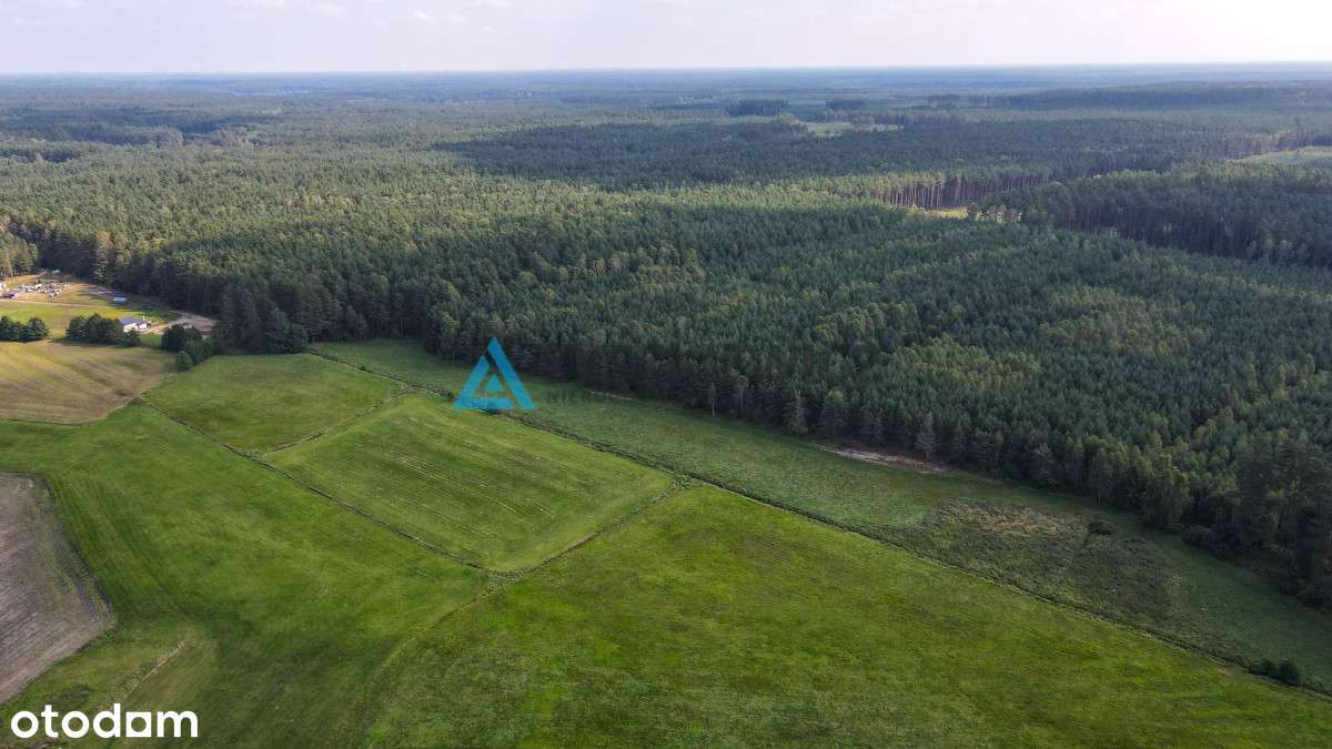 Działka Osówek - Pełny obrazek: 5/20