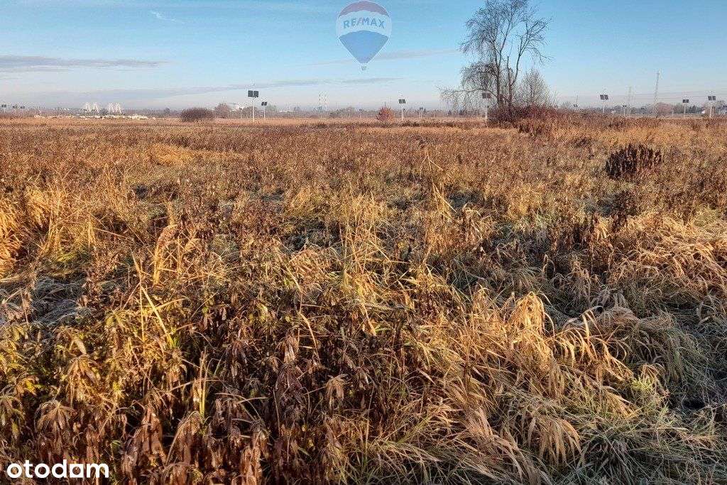 Działka Brzegi Gmina Wieliczka - Pełny obrazek: 4/7