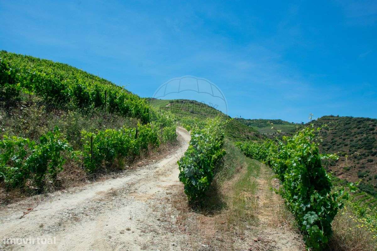 Terreno  para venda - Grande imagem: 5/11