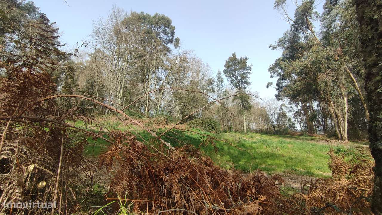 Terreno em Turiz, Vila Verde-5