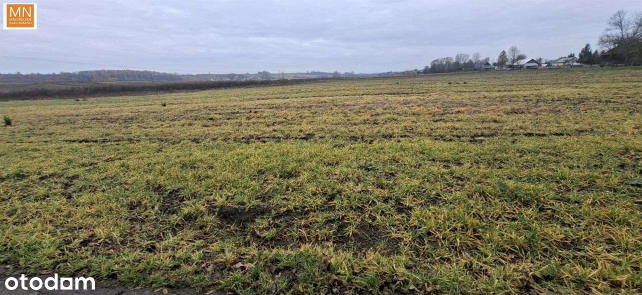 Budowlana 15a za 330 tys.-5