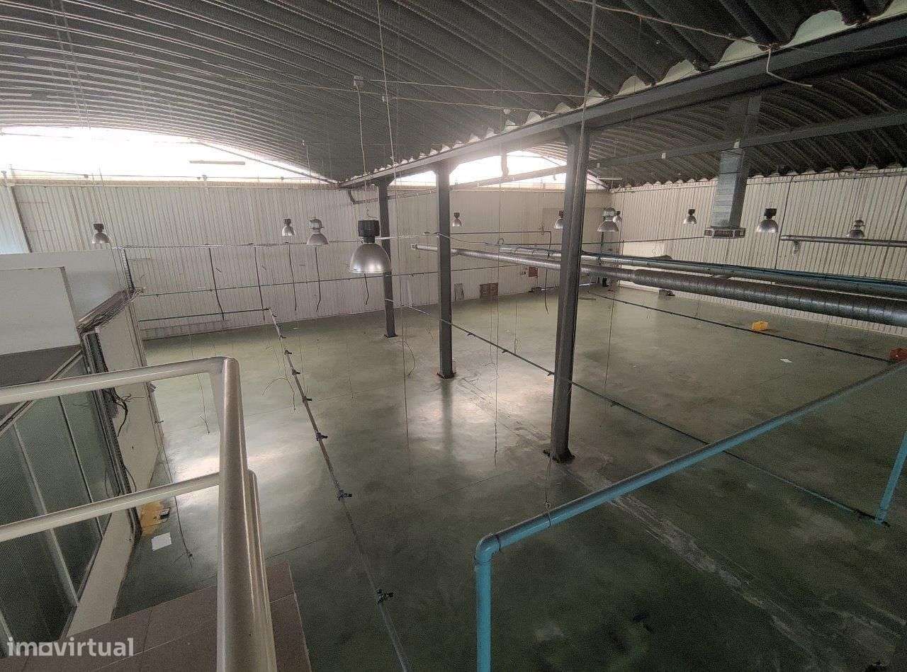 Armazém/fábrica com licenciamento industrial em Castelo de Paiva-6