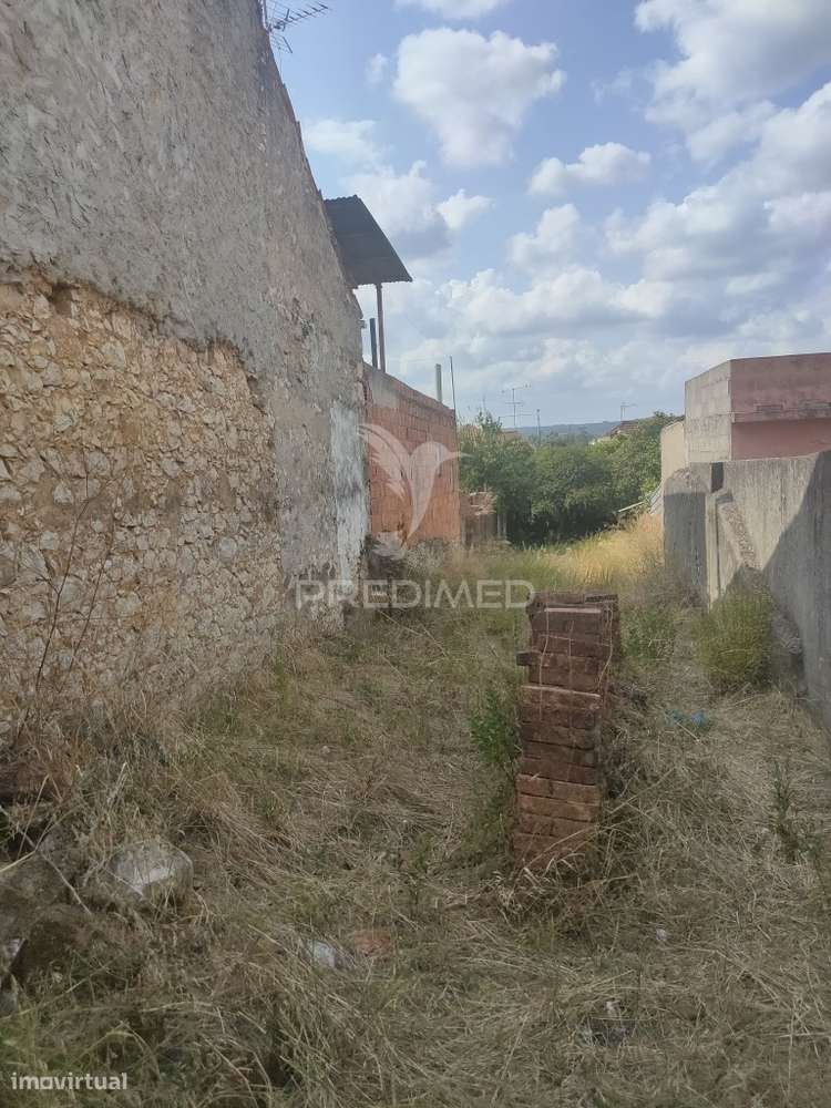 Terreno - Amiais de Baixo, Santarém - Grande imagem: 3/10