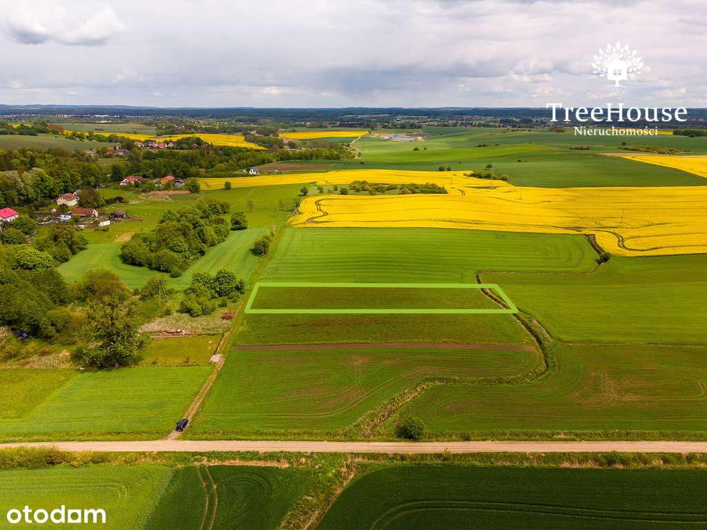 Działka rolna w Głotowie, gmina Dobre Miasto - Pełny obrazek: 4/9