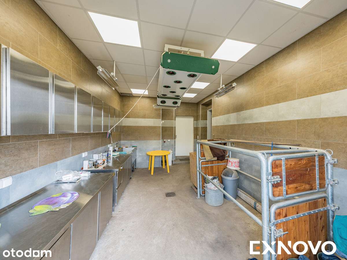 Siedlisko ze stajnią na 4-ha działce na Kaszubach.-7