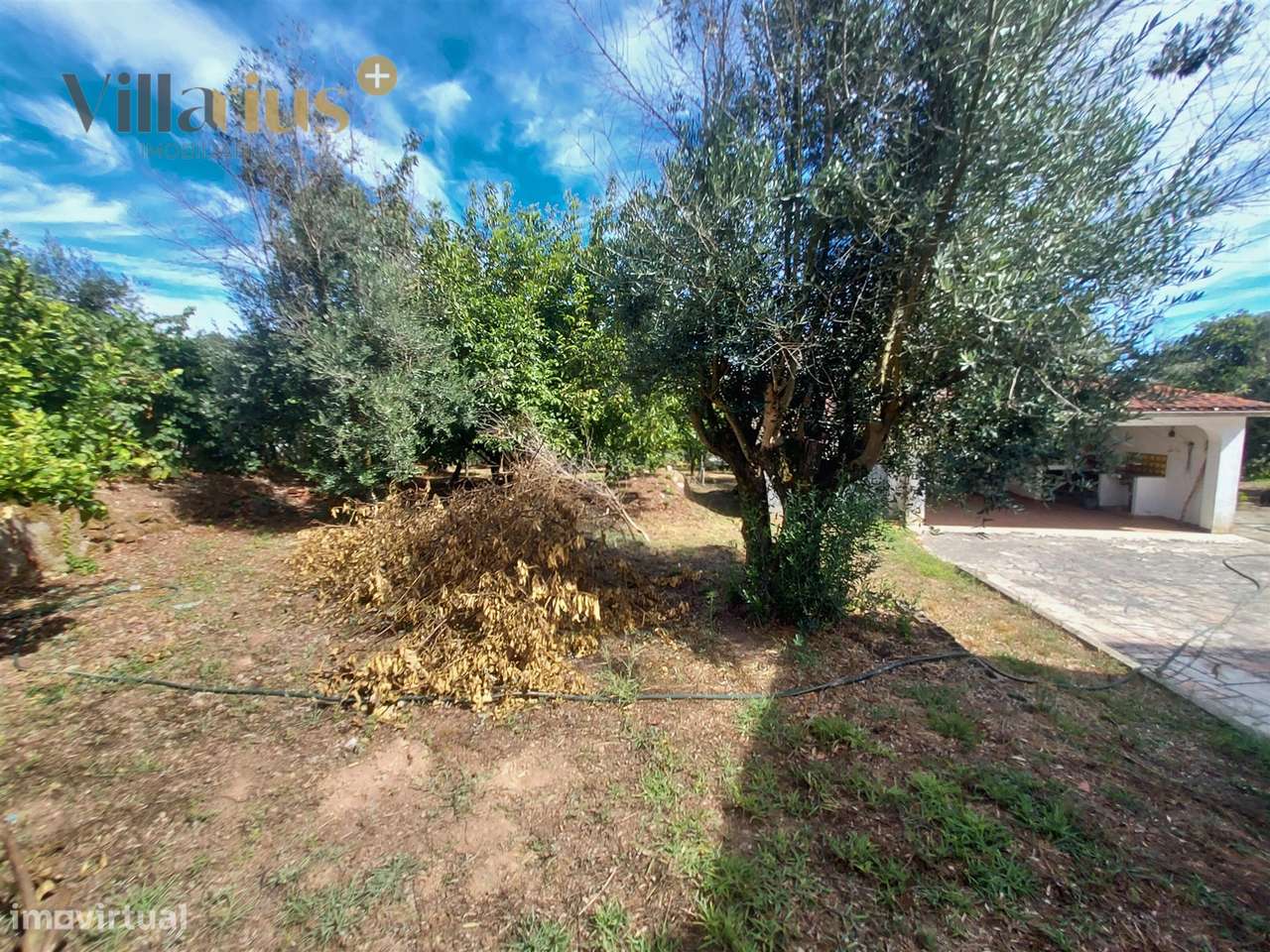 Moradia T3+1 à Venda em Tomar – Espaço e Natureza-35