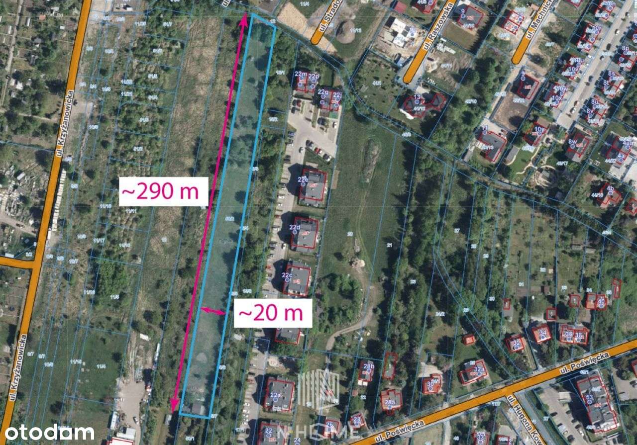 działka 5513m2 dla inwestora/Poświętne - Pełny obrazek: 3/8