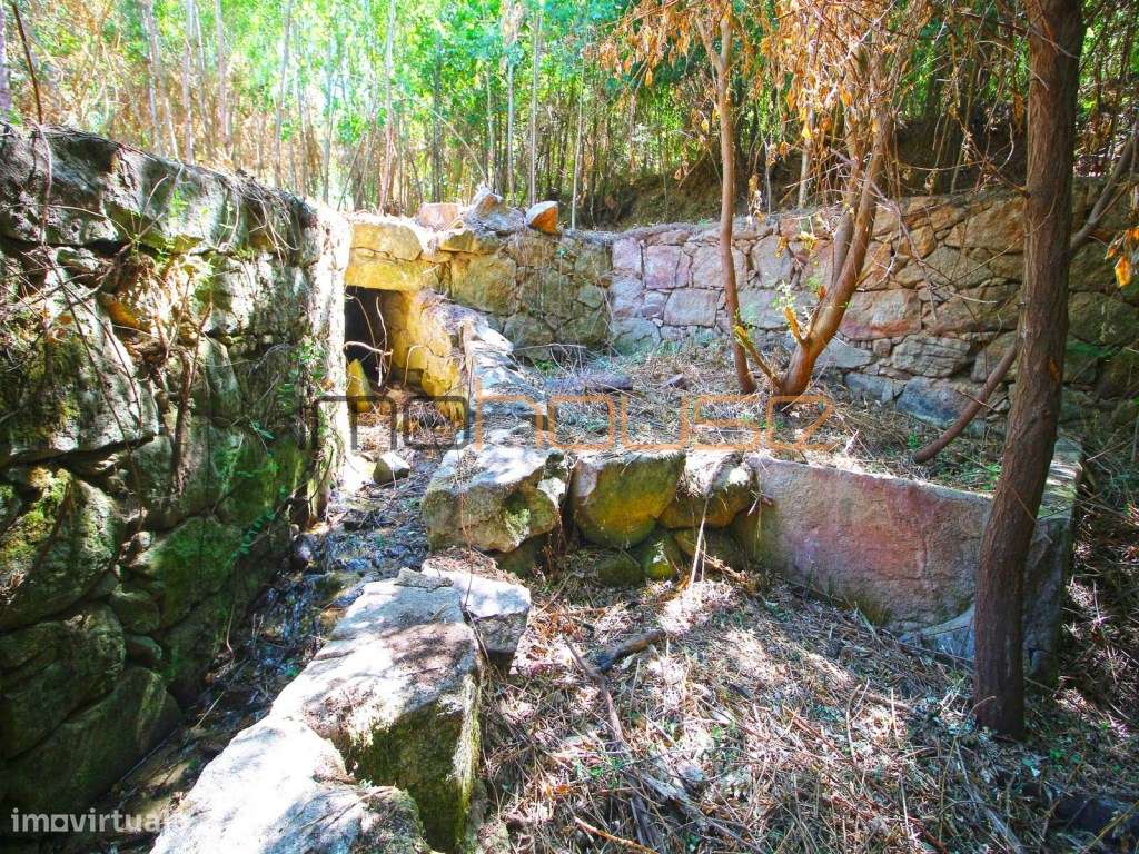 Quinta com Ribeiro e casa para restaurar - Terreno de cultivo-15