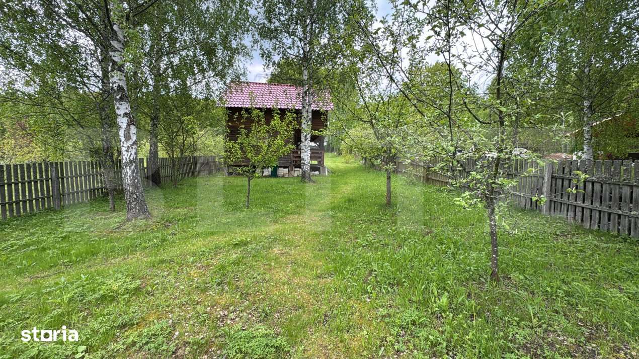 Teren intravilan, 1.000 mp, localitatea Rasca - Imagine principală: 4/8