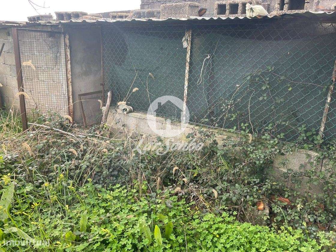 Terreno com 30m frente, para construção de Moradia com 1000m² em Co... - Grande imagem: 5/8