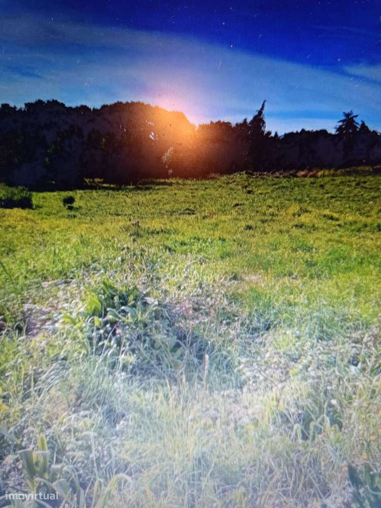 Terreno Rustico com 5010m2 em Casal de Palhais - Grande imagem: 2/4