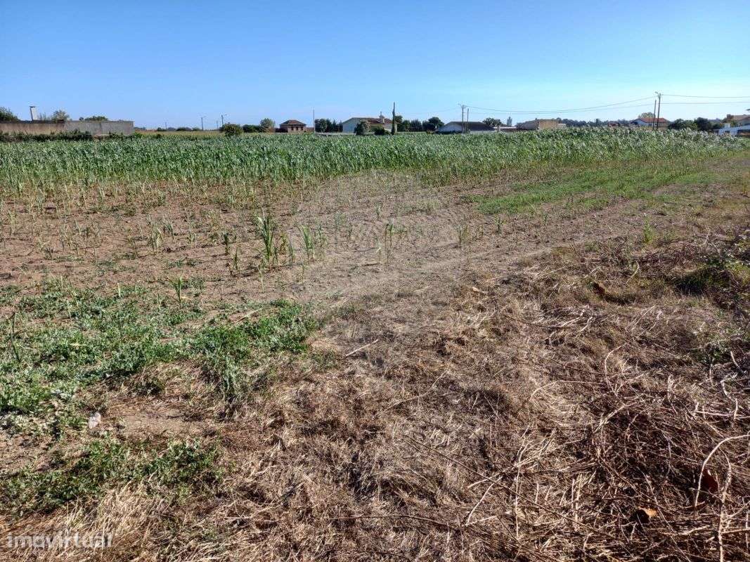 Terreno  para venda - Grande imagem: 4/7