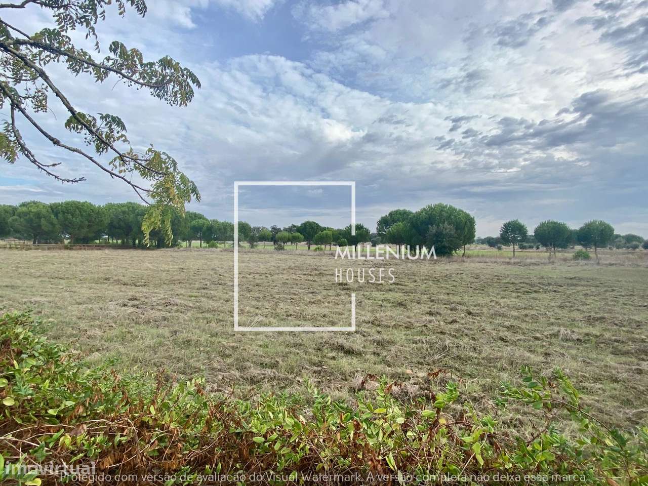 Terreno Urbano | 1. ª LINHA GOLFE | Vila Nova de Santo Estêvão-1