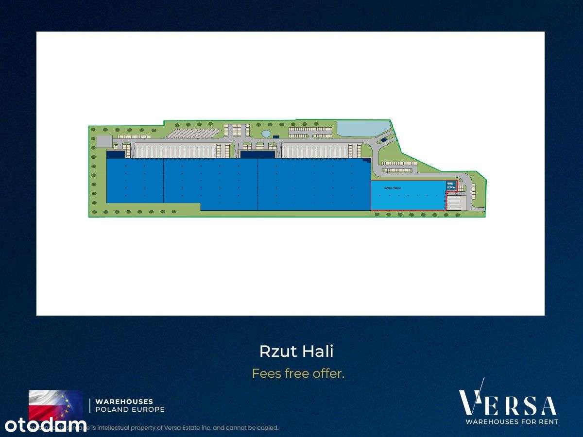 versa595277 - Pełny obrazek: 4/11