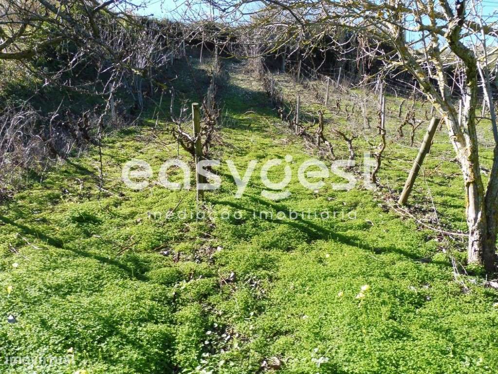 Terreno na Calhandriz - Grande imagem: 5/7