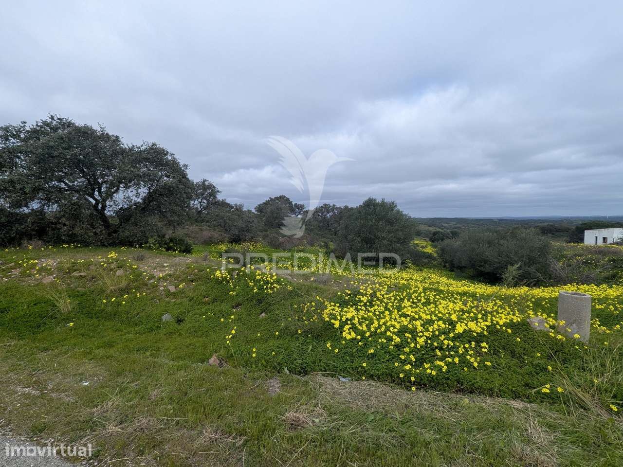 Terreno rústico com 1,63ha no Azinhal - Grande imagem: 5/10