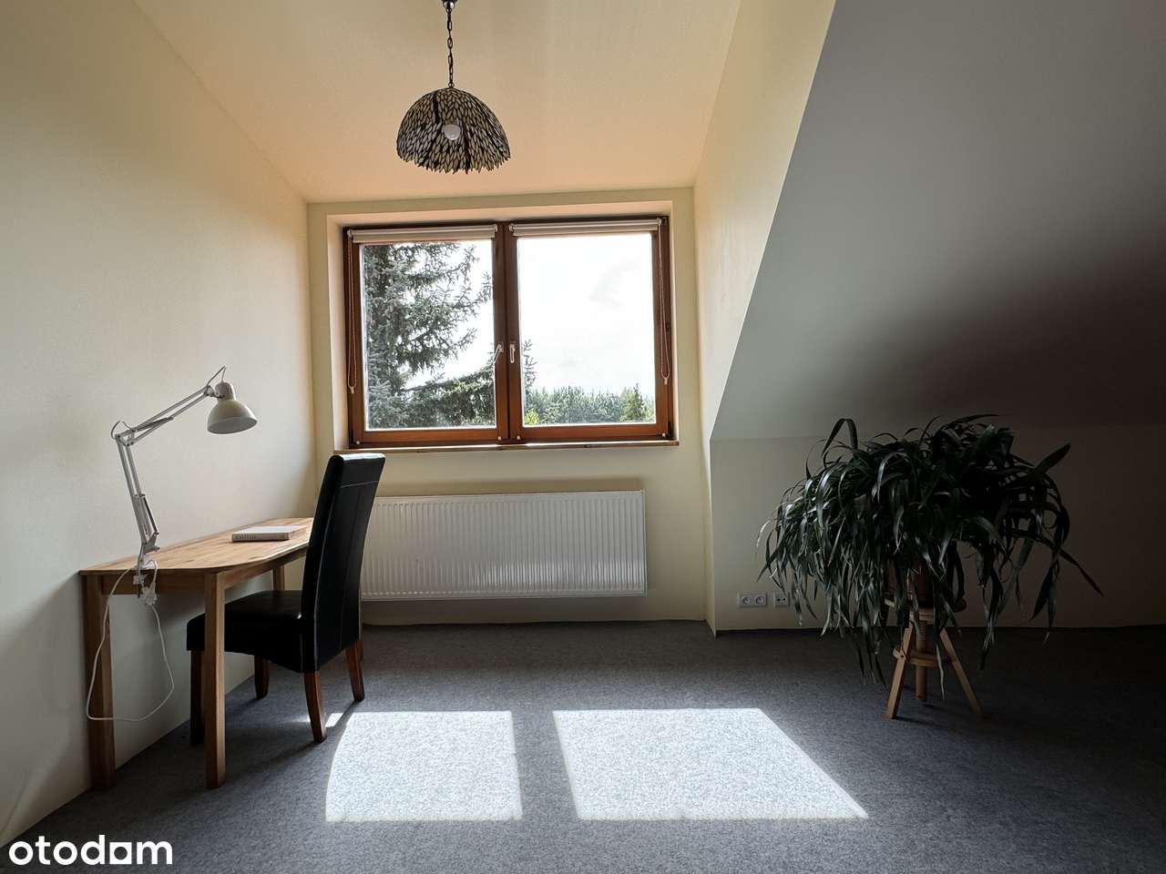 Urokliwa nieruchomość w gminie Radziejowice-15