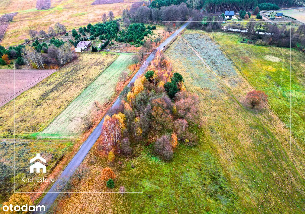 Działki (1000 m2 lub 1989m2) przy Narwi, natura✔ - Pełny obrazek: 1/6