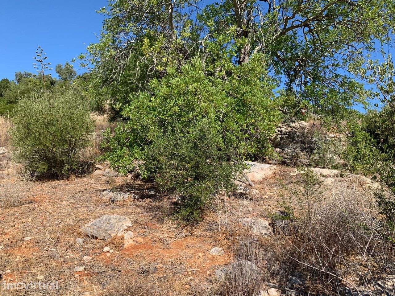 Terreno Urbano, com 3 artigos, Colmeal-31