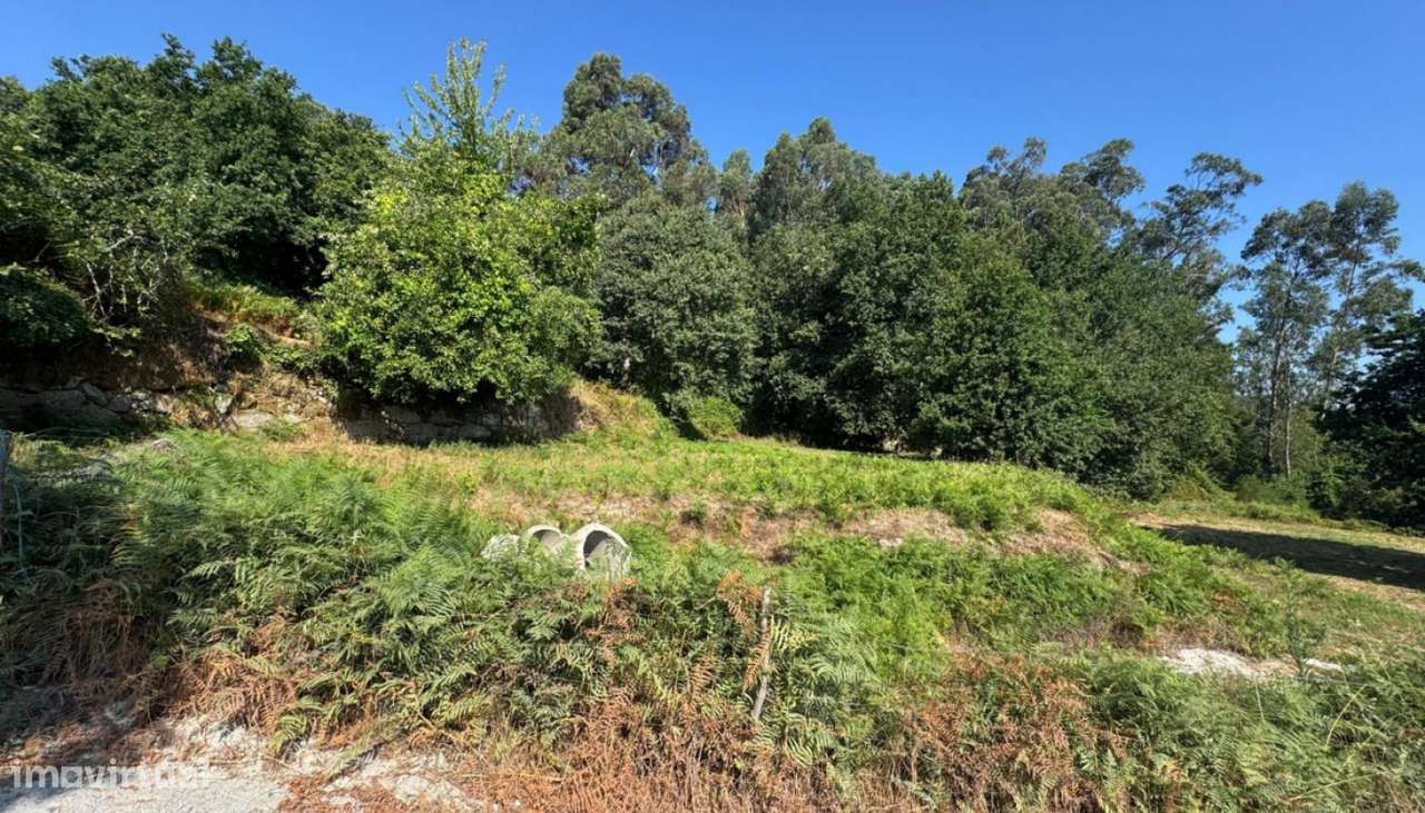 Venda Terreno, Boelhe, Penafiel-22
