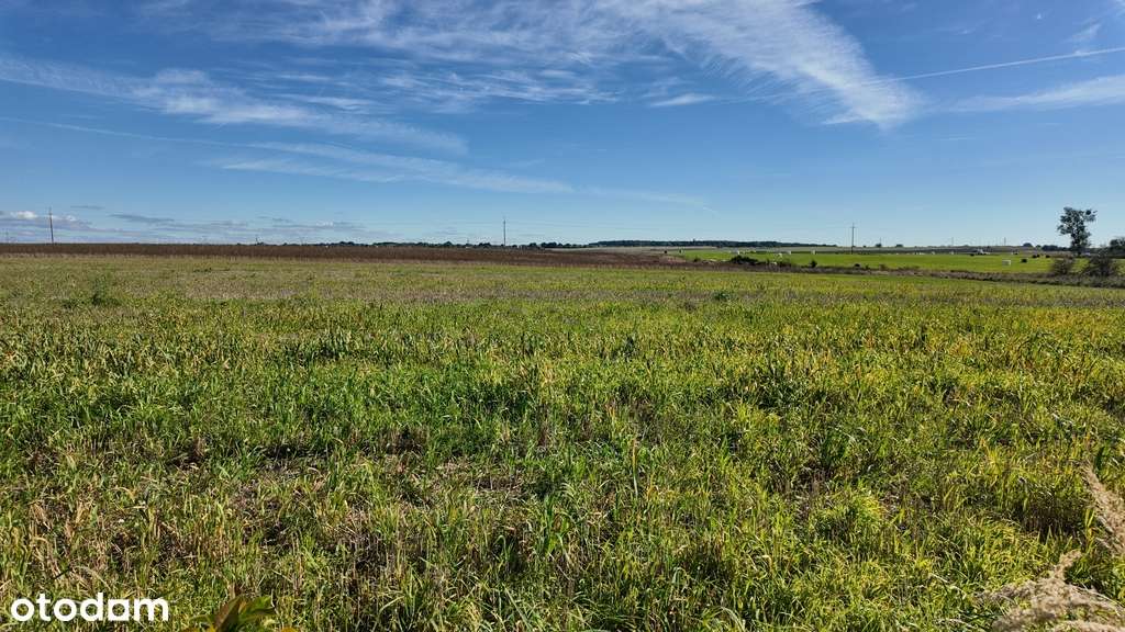 Działka idealna pod budowę-3