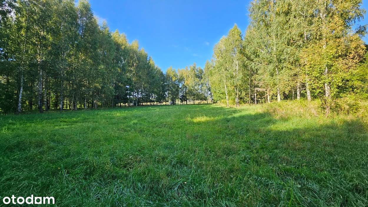 Działka budowlana Kamiennik Wielki, gmina Milejewo-8