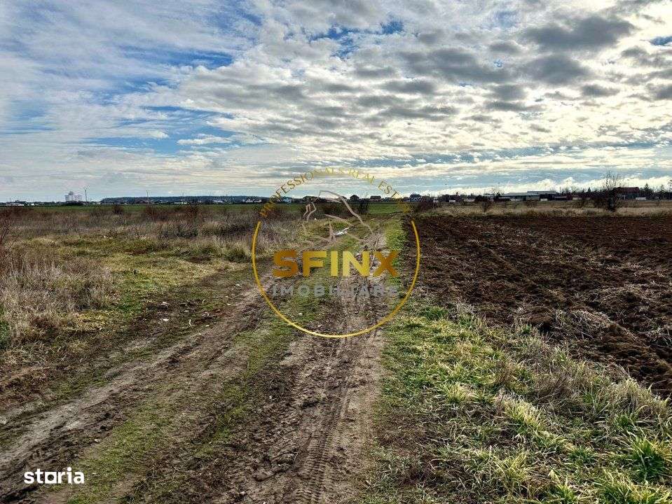 LOT de casa Tartasesti Primarie, teren cu potential - Imagine principală: 4/7