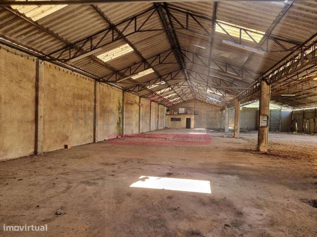 Armazém com logradouro, e um terreno rústico baldio, sito em Vilari... - Grande imagem: 2/7