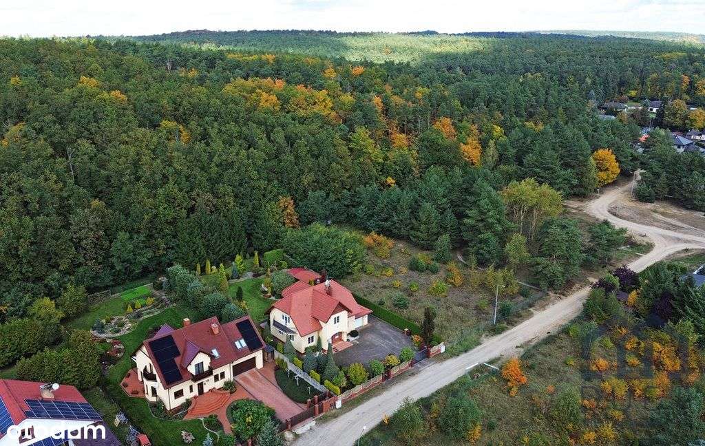 Dom pod lasem - Krosinko - komfort, wygoda, spokój-1