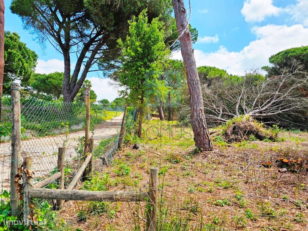 Lote de Terreno de 33.300m2, com lagoa, na Mata do Duque 1, Santo E...-25