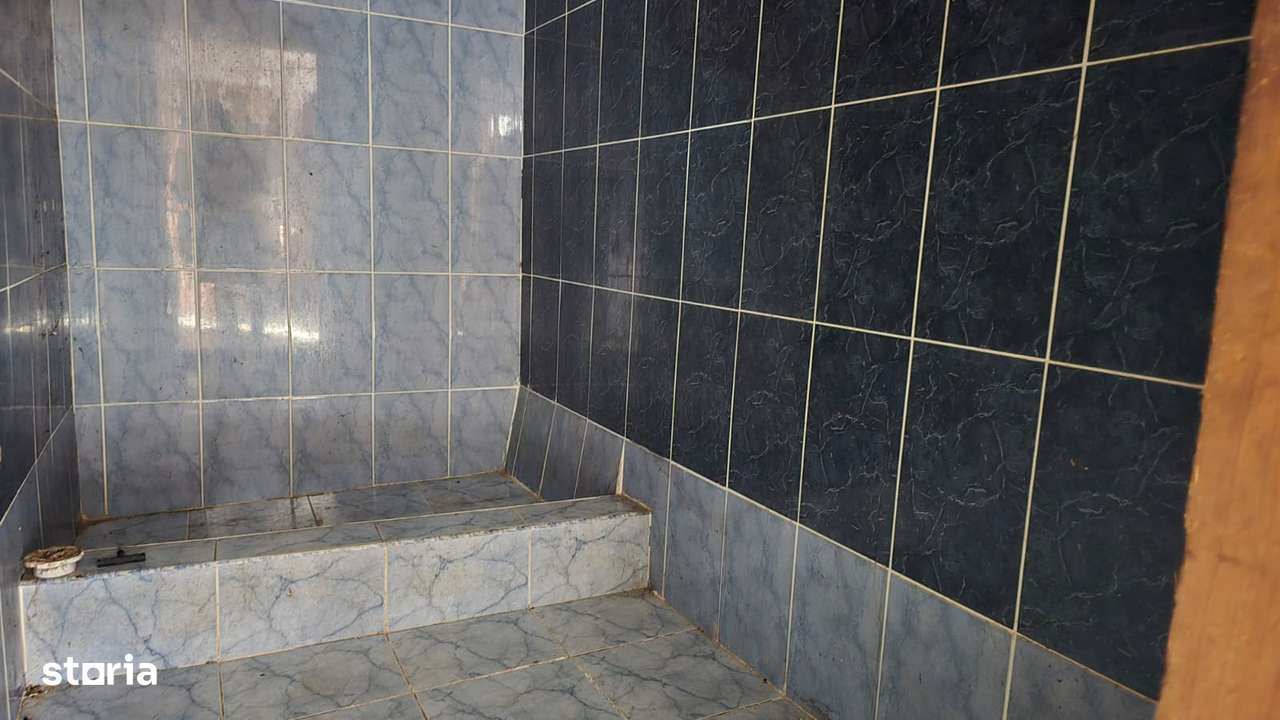 Casa de vanzare in Branisca-11