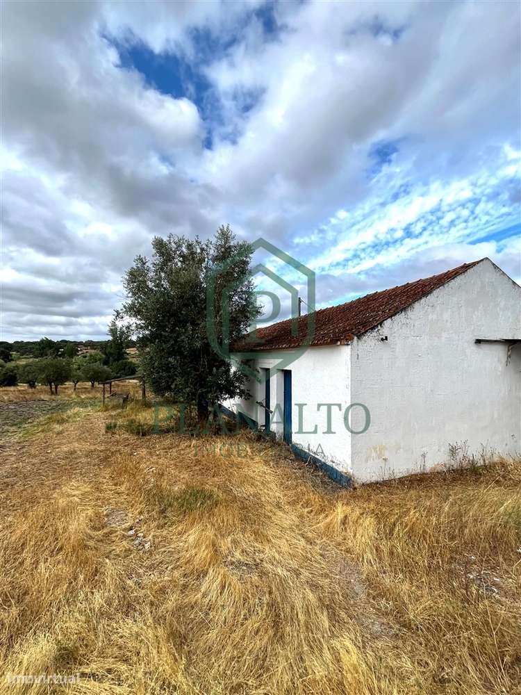 Quinta >=T10 Venda em Cortiçadas de Lavre e Lavre,Montemor-o-Novo-30