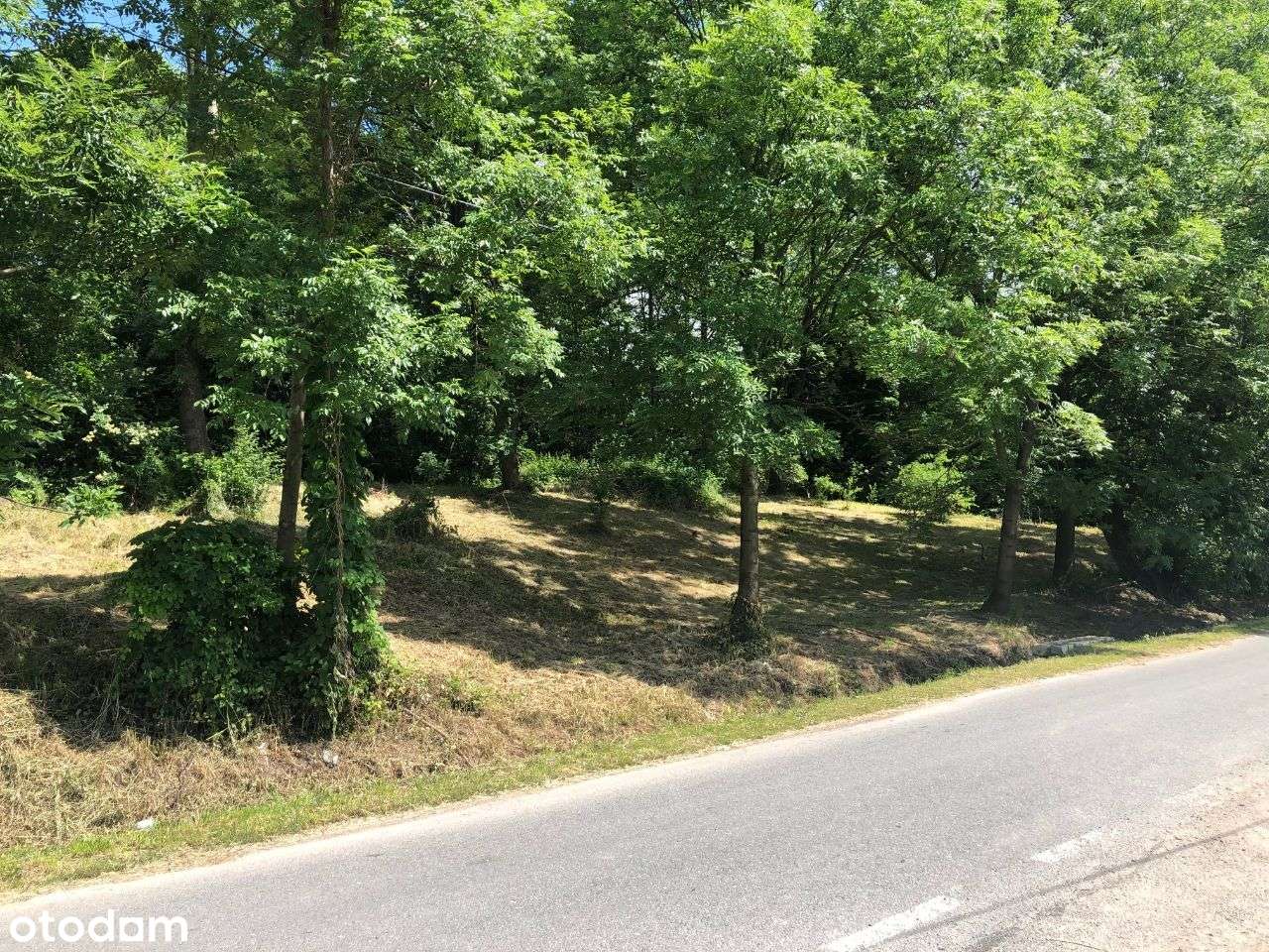 Widokowa działka budowlana- 4096m2, Płonica, 57-250 Złoty Stok - Pełny obrazek: 3/14