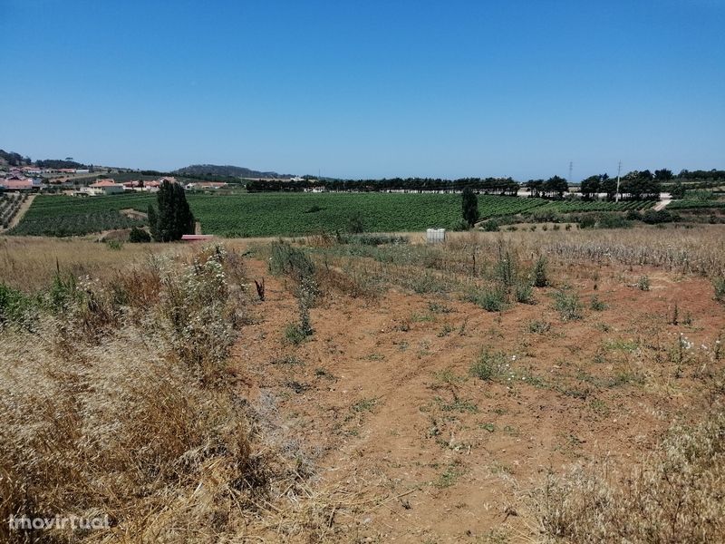 Terreno de 3.400 m² a 10 minutos de Torres Vedras