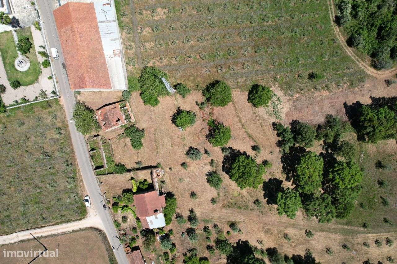 Terreno para Construção em Tomar! - Grande imagem: 5/9