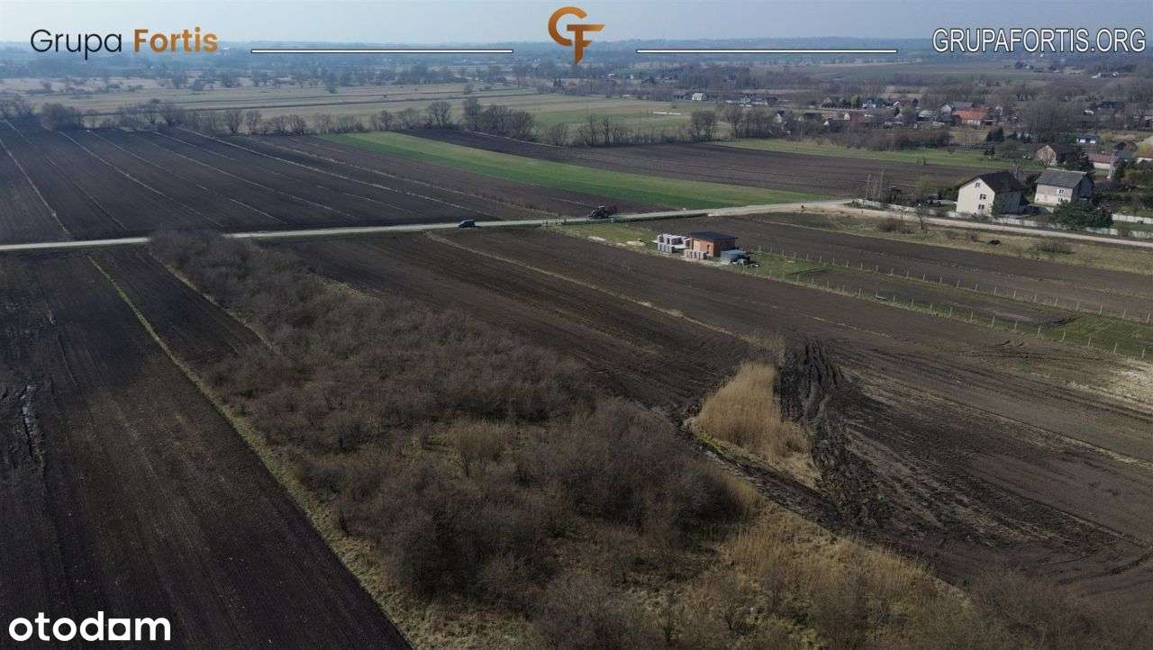 Działka rolno-budowlana Bejsce |55ar - Pełny obrazek: 4/4