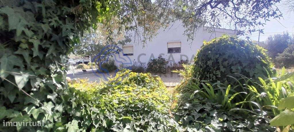 Moradia Térrea T4 - Grande imagem: 5/20