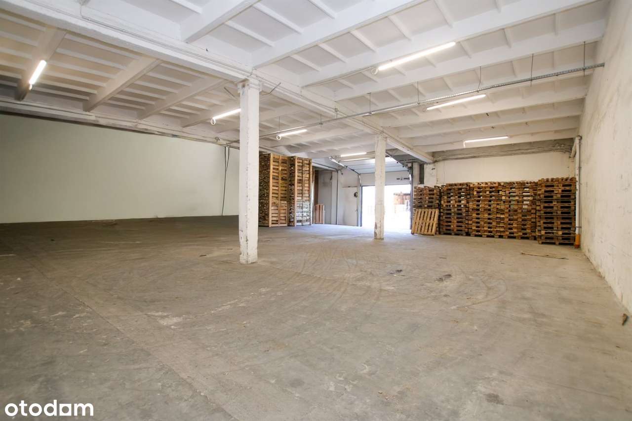 Na wynajem|magazyn|315m2|4,5 wysokość|Grunwaldzka - Pełny obrazek: 4/5