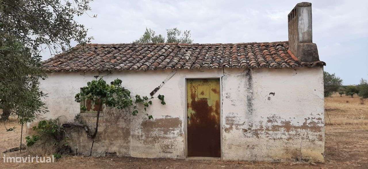Monte Alentejano junto a Mourão - Grande imagem: 4/13