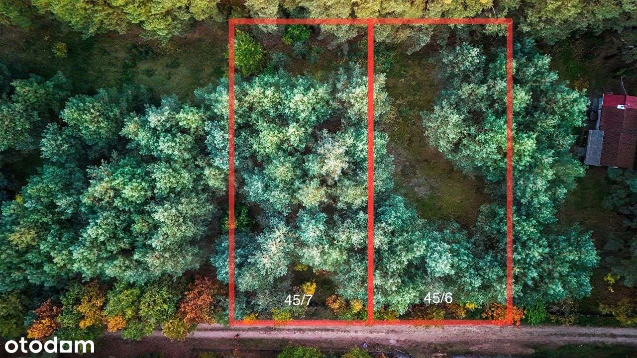 Urocza działka rekreacyjna w Osłoninie - Pełny obrazek: 2/5