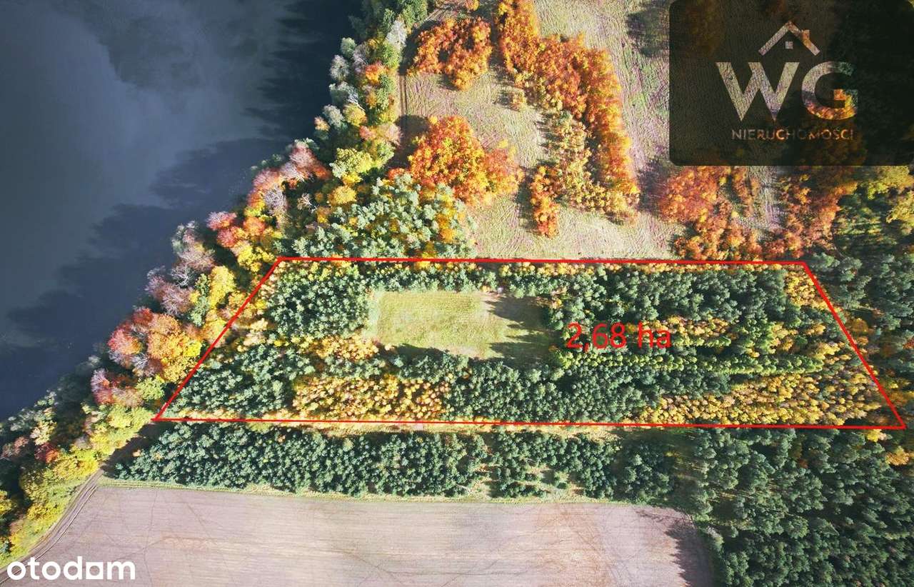 Wyjątkowa działka nad jeziorem – zjawiskowy widok, cisza i las!-1