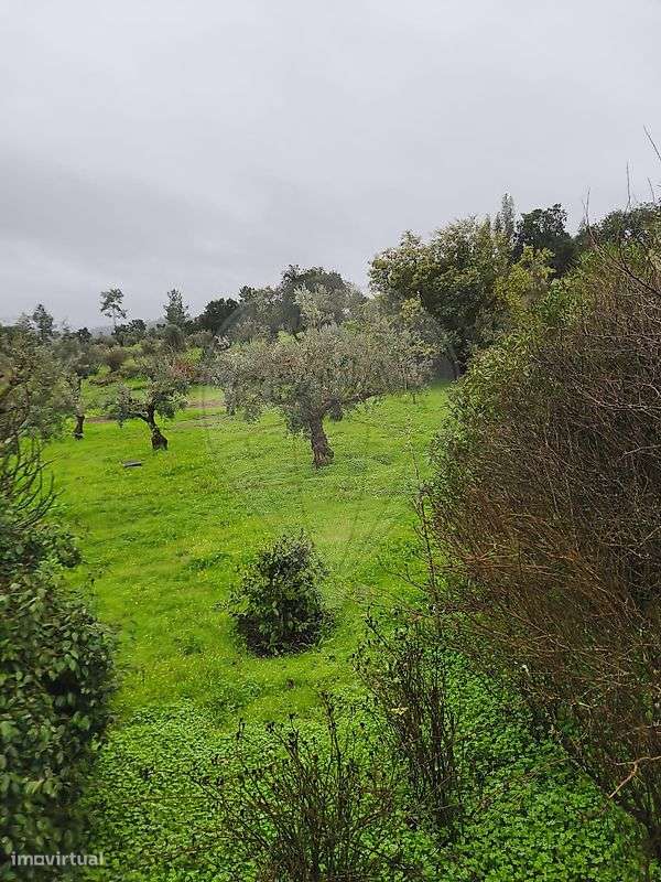 Quinta  para venda-31