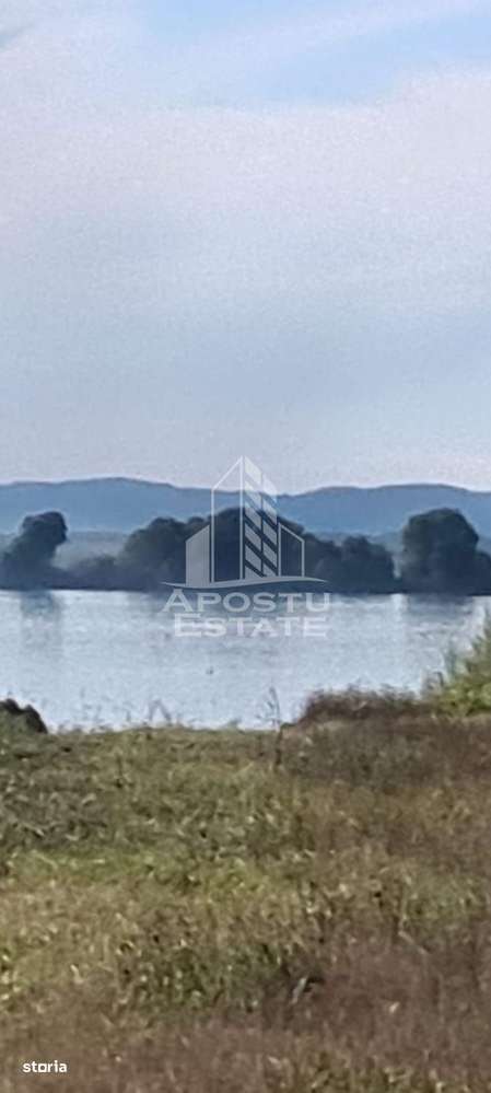 Teren la Dunare 2400Mp cu utilitati - Imagine principală: 5/5
