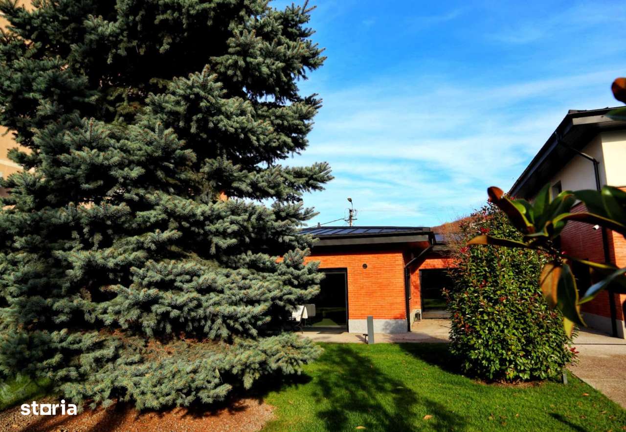 CASA BUCIUM  LA STRADA PRINCIPALA - Imagine principală: 2/20