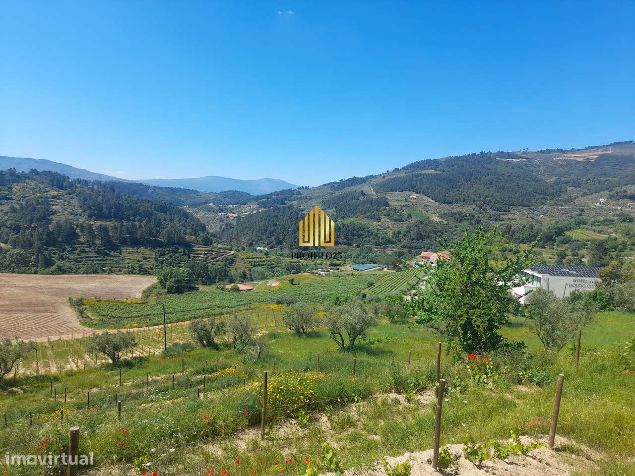 Terreno único com 21.500 m² Zona Vinhateira - Projeto Turístico-13