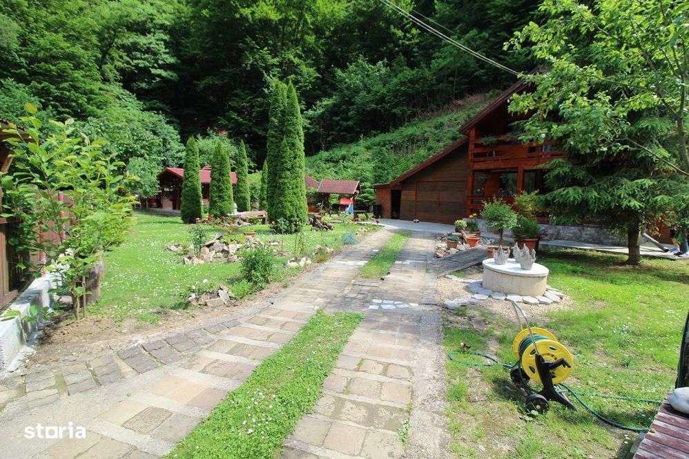 Vând gospodărie cu casă P+M în Govăjdia, la 16km de Hunedoara - Imagine principală: 2/20