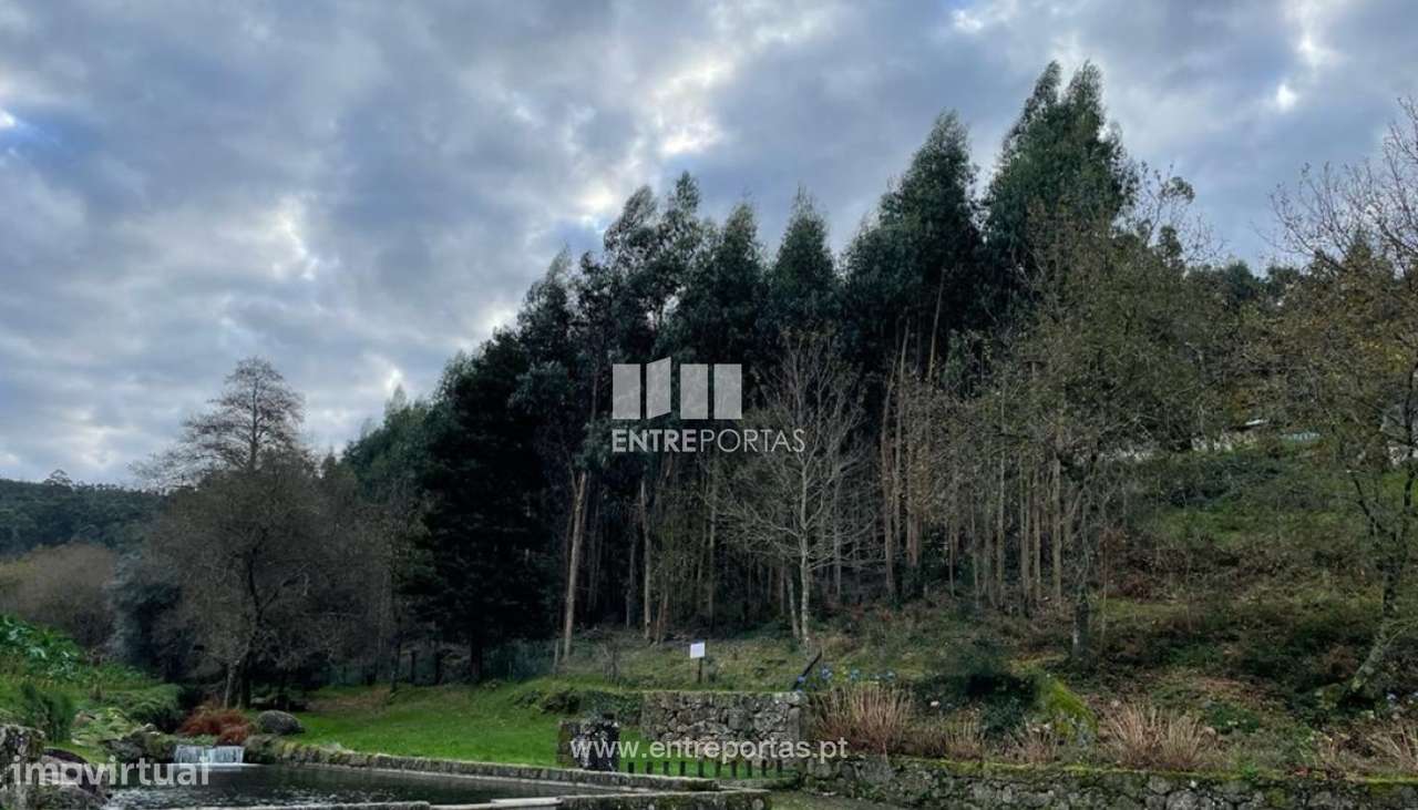 Venda de Terreno, Portela Susã, Viana do Castelo - Grande imagem: 2/29